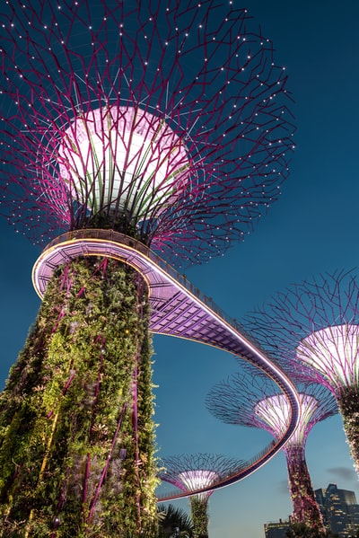 紫树之光新加坡地标